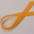 005 amarelo ouro